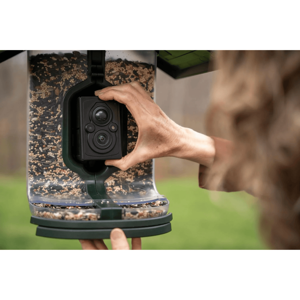 FeatherSnap Scout WiFi Solar Powered Smart Bird Feeder - Green - Lenny's Shoe & Apparel