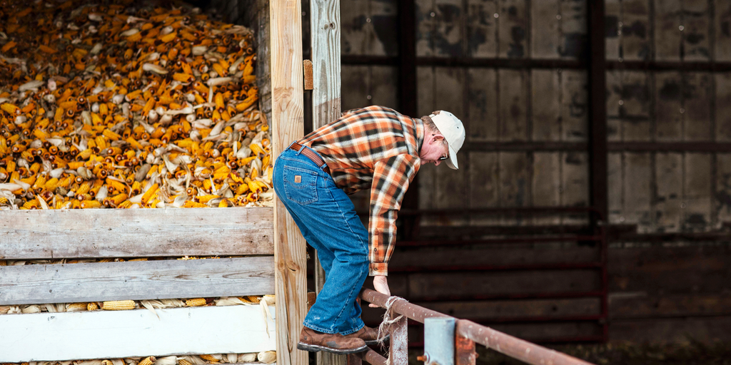 Carhartt Men's Jean and farm image