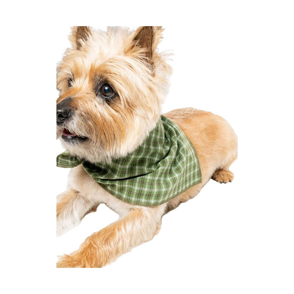 Insect Shield Trail Dog Bandana - Green - Lenny's Shoe & Apparel