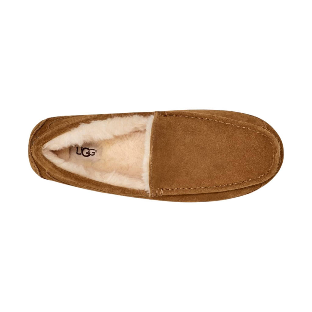 UGG Men's Ascot Slipper - Chestnut - Lenny's Shoe & Apparel